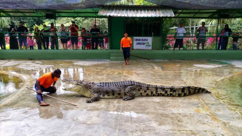 Langkawi Crocodile Adventure Land for Croc Encounter Combo